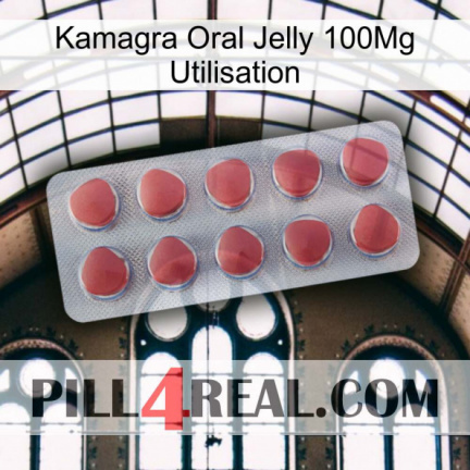 Kamagra Oral Jelly 100Mg Use 18